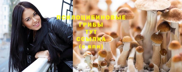 spice Зеленодольск